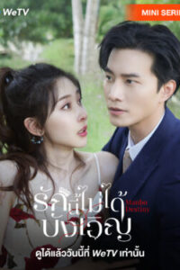 รักนี้ไม่ได้บังเอิญ-พากย์ไทย-e1766387386528